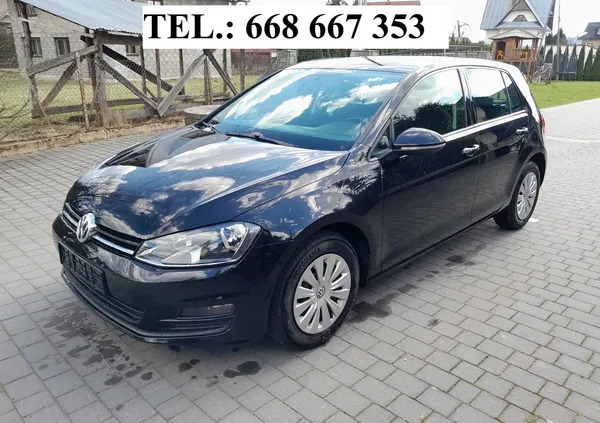 volkswagen golf Volkswagen Golf cena 37700 przebieg: 211000, rok produkcji 2013 z Terespol